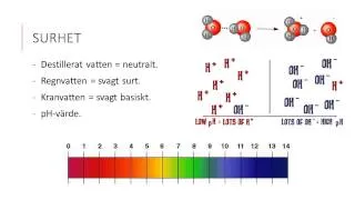 Syror och baser del 1