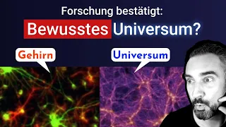 UNGLAUBLICHE Parallelen zwischen GEHIRN & UNIVERSUM 😲 Das Weltbild des analytischen Idealismus P.7