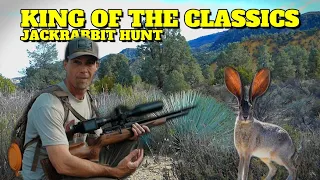 Airgun Hunting Jackrabbits with the King of the Classics