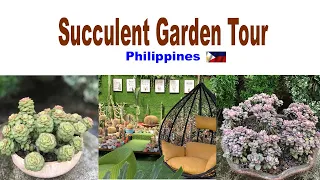 Succulent Garden Tour ( Philippines)