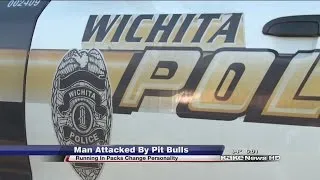 Man Attacked By Pitbulls