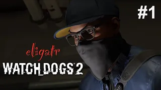 Watch Dogs 2. Часть 1. Прохождение игры. [Без комментариев]