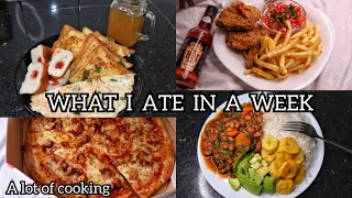 I ATE SO MUCH THIS WEEK, A LOT OF COOKING, What I Eat in a Week | Living Alone Diaries