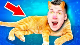 🐈 Я ПРЕВРАТИЛСЯ в КОТА! Симулятор Кошки ! 🙍‍♂