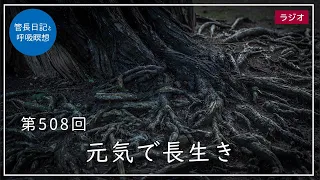 第508回「元気で長生き」2022/5/29【毎日の管長日記と呼吸瞑想】｜ 臨済宗円覚寺派管長 横田南嶺老師