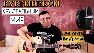 Кукрыниксы - Хрустальный мир (Live cover By FLM #)