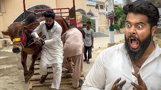 ALHAMDULILLAH APNA JANWAR GHAR AA GAYA 😳 BABA GOT EMOTIONAL 😭 | SYED FAHAD