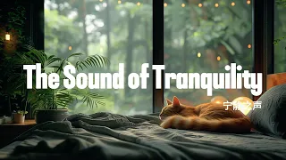 【The Sound of Tranquility】🌿🌿Healing music to take you away from the hustle and bustle of the city