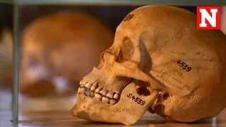 Germany Returns Human Remains From 20th Century Namibia