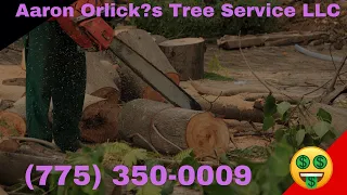 Discover the BEST Tree Services Carson City NV 89701