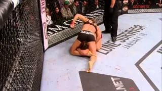 UFC 168 - Ronda Rousey vs. Miesha Tate (Português)