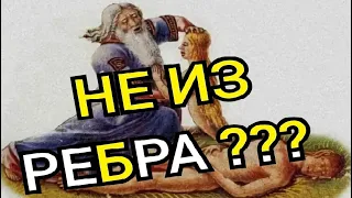 Бог создал женщину не из ребра ?