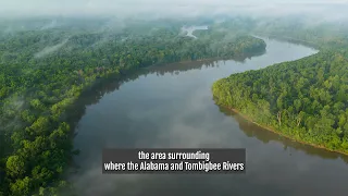$15 million land purchase in Alabama's Amazon