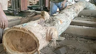 Utilizing waste wood makes big profits