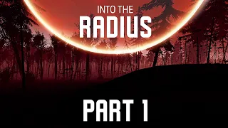 Into the Radius - Part 1 - The First Day