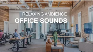 Office Sounds Ambience - Background Noise for Study and Work