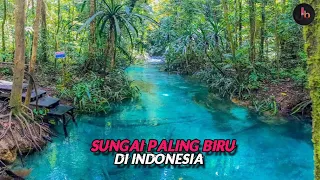 Sungai Paling Jernih di Indonesia Yang Tersembunyi di Hutan Papua