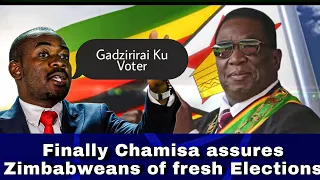 Nelson Chamisa's Shocking Message to Zimbabweans: Be Prepared for Fresh Elections