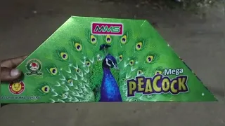 Mega Peacock #diwalispecial #sivakasipattasu #diwali2023#diwali#firecrackers