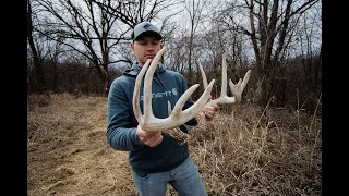 Shed Hunting For Big Iowa Antlers