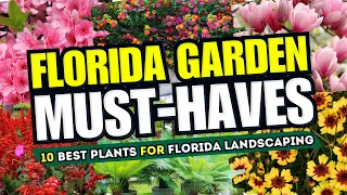 🌴🌞 FLORIDA GARDEN MUST-HAVES! Top 10 Best Plants for Florida Landscaping ✨