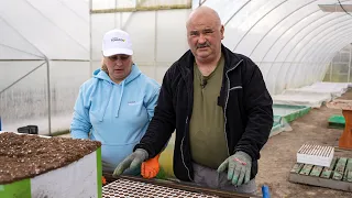 KOŃCZYMY WYSIEW NASION TYTONIU - PRZYGODA z HYDROPONIKĄ