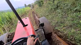 Subida Íngreme! - Puxando esterco para o vizinho. Massey Ferguson 292 - Parte 2