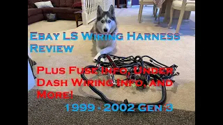 Ebay LS Swap harness overview with fuse ID, under dash wiring ID, and how to make this harness work!