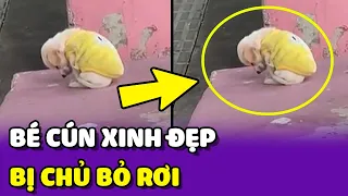 Giải cứu bé cún bệnh nặng bị chủ BỎ RƠI ở trên đường  | Yêu Lu Official