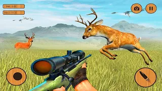 Mission Animal Hunter 2021 - Wild Hunting Games Android Gameplay #1