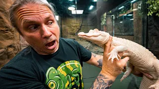 IS MY ALBINO ALLIGATOR (Salt) GETTING MEAN WITH THE REPTILE ZOO CLOSED?? | BRIAN BARCZYK
