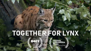 Together for Lynx