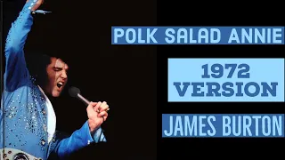 Elvis - Polk Salad Annie 1972 (James Burton)