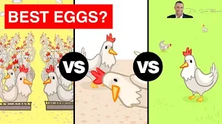 🥚 The Shocking Truth Between Free Range, Cage Free and Pasture Raised Eggs? - by Dr Sam Robbins