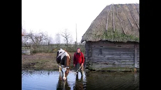 Продам дом в селе Ковчин. Река Десна.