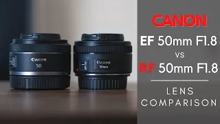 Canon RF 50mm f/1.8 STM vs. EF 50mm f/1.8 STM Lens Comparison
