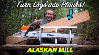 Using an Alaskan Mill to turn dead trees into wood you can use