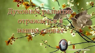 Отец Элпидий Вагианакис: Духовное развитие отражается в наших словах