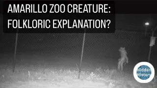 What is the Amarillo Zoo creature caught on camera?