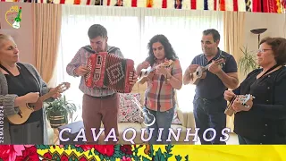 Cavaquinhos e Concertina 🪗Aprender a Tocar Cavaquinho e Concertina 🎸O meu Cavaquinho