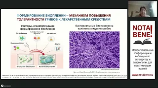 NOTA BENE! - 12.04.2024. Г.Б. Дикке "Candida – представитель нормальной микробиоты или инфекцио...?"