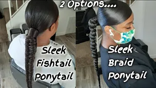 Sleek Fishtail Braid Ponytail + Regular Braid Ponytail | 2 Options!