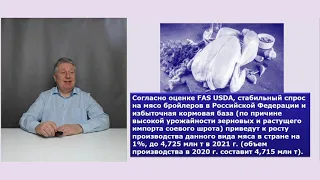 Куда исчезал наш перспективный отечественный ноотроп?