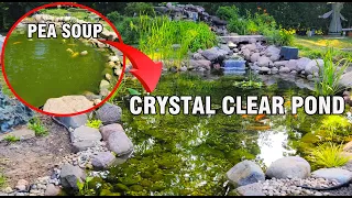 Pond Filtration That WORKS Complete Renovation