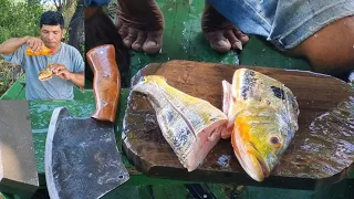 Acampando e pescando com linha de mão e Fritando Tucunaré