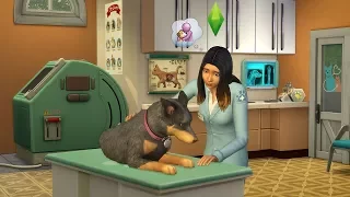 Игровой процесс ветеринара в дополнение "Кошки и собаки" для игры The Sims 4!