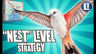 WINGSPAN Board Game NEXT LEVEL Strategy Guide / Intermediate And Advanced Tips