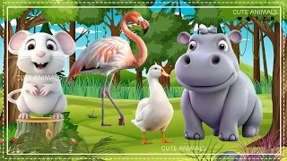 Relax with familiar animals: Mouse, Flamingo, Duck, Hippopotamus - Animal sounds