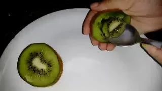 Como germinar sementes de kiwi