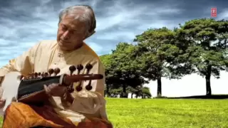 Raag Rageshwari-Sarod | Ragas-Morning To Midnight (Indian Classical) By Ustad Amjad Ali Khan